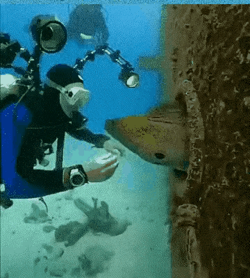 还好，这个一看就知道是AI。