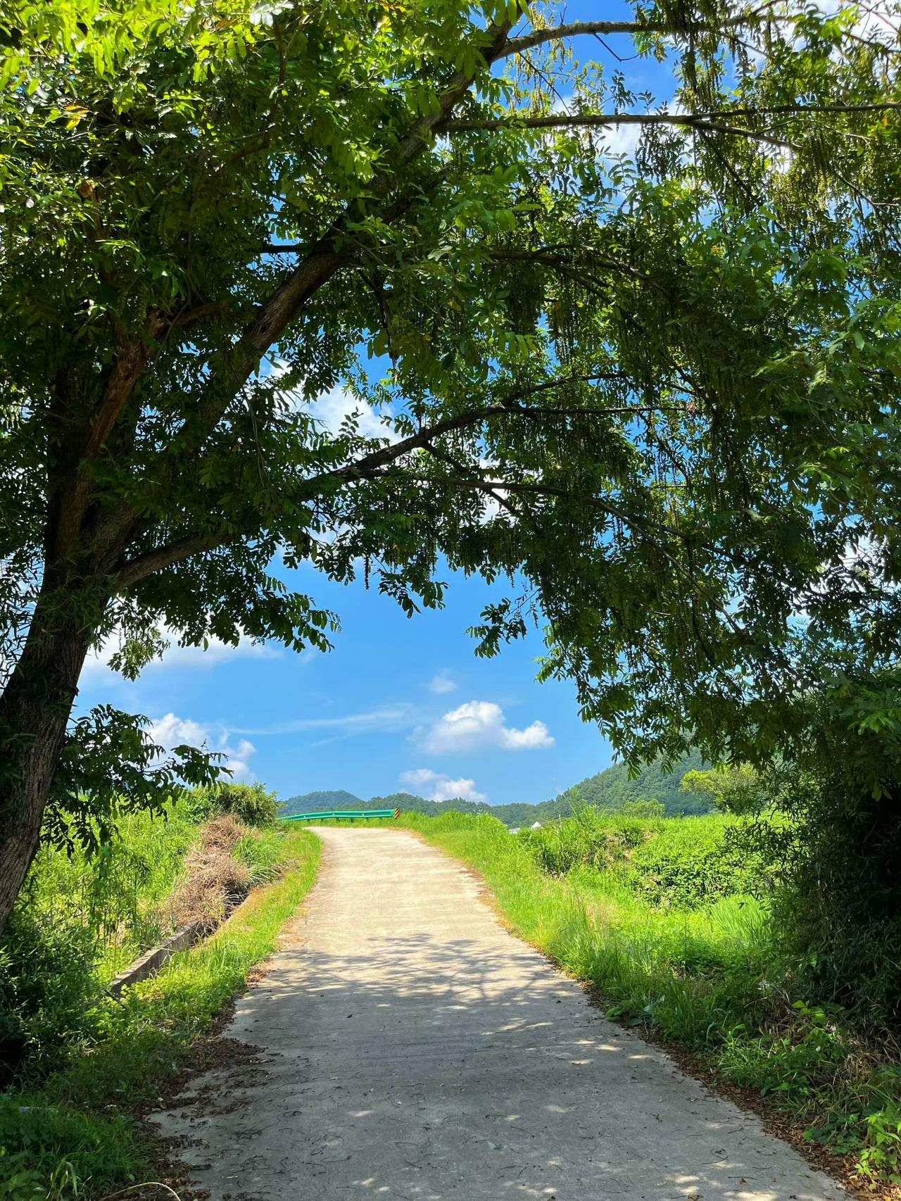 这是你们的秋天啊🍂