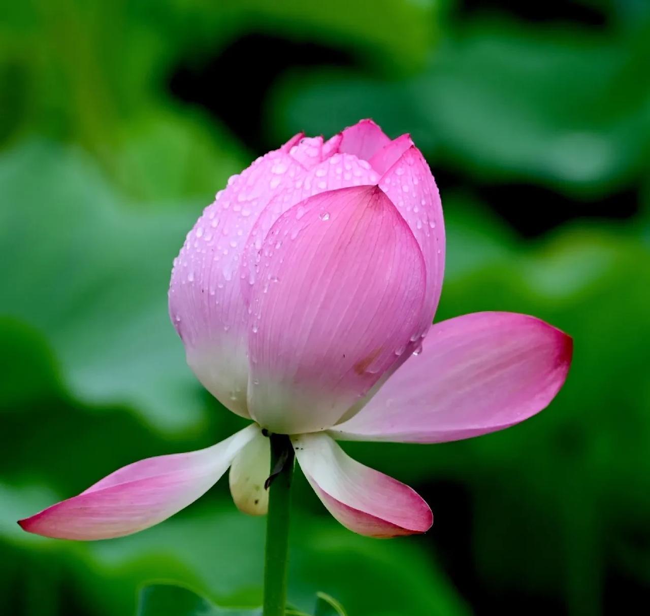 昨晚带孙女去万达广场，去按电梯按键时，不小心碰到一位四十多岁女士的丰满处。当时