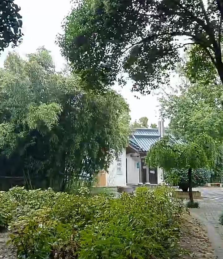 今天是中秋节，柴桑大姐一大早依然来到了风景如画的公园里直播！真的很佩服柴桑大姐