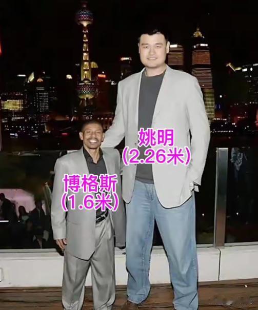 谁说个子矮不能打篮球？蒂尼·博格斯，绰号“小虫”。身高1米6在NBA打了14年，