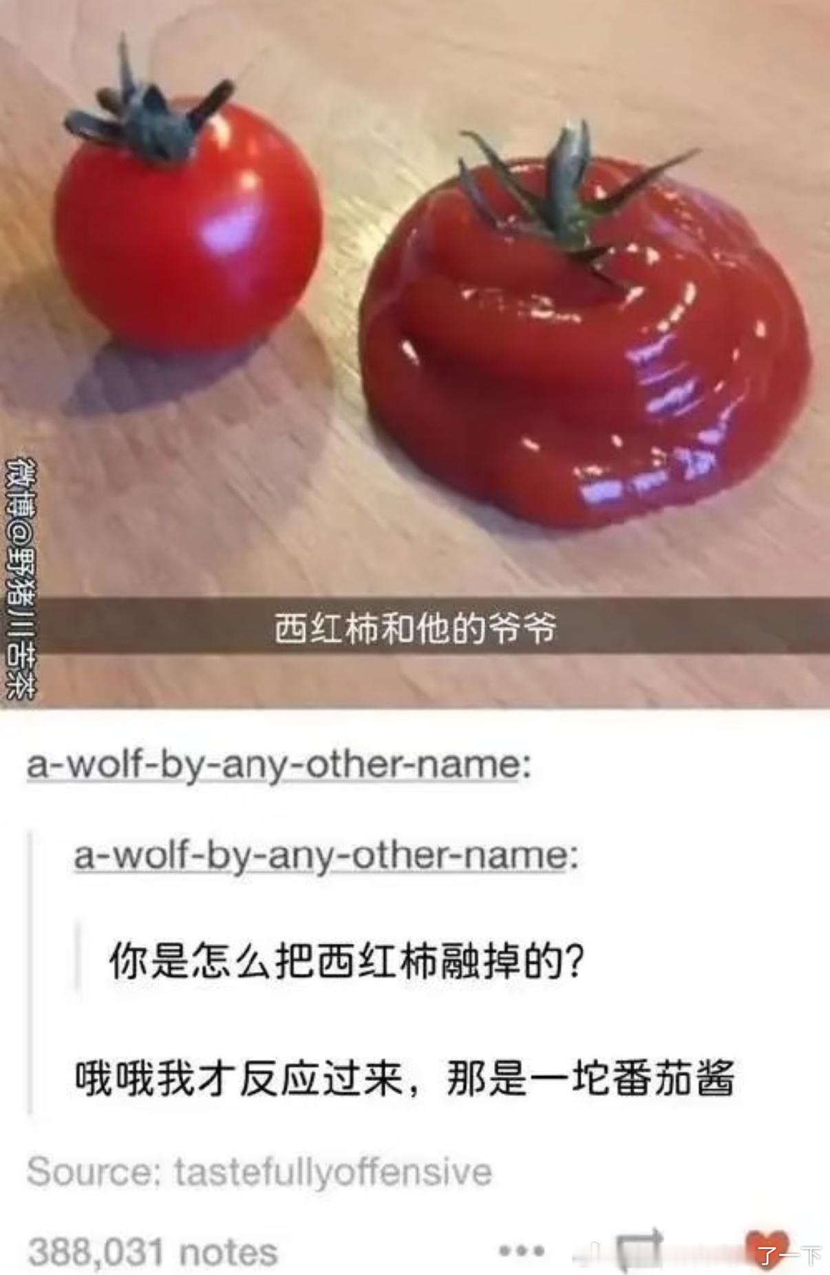 5300西红柿和它的爷爷​​​