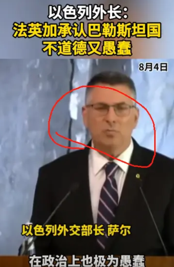 “不道德且极为愚蠢”！就在刚刚，以色列外长公开炮轰英法等国！中国网消息，以色列外