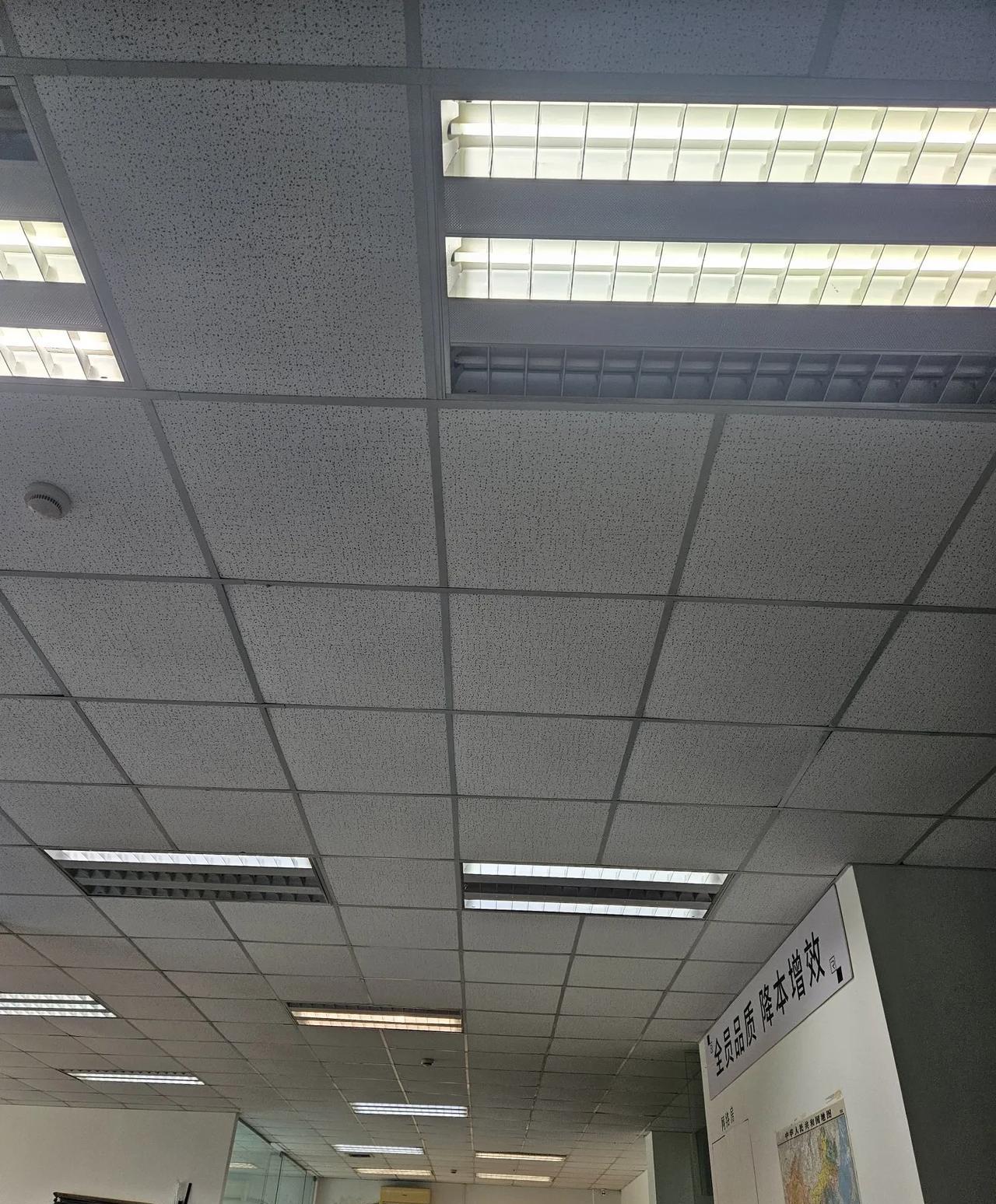 不要怀疑985学生的学习能力最近，身边有同事感慨：单位新来的985研究生选调生