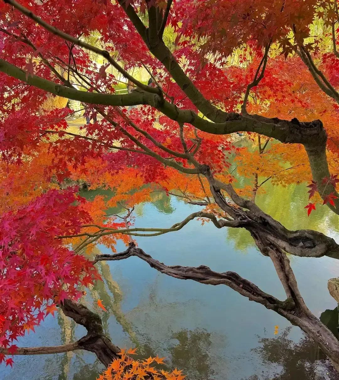 刷到一条教人“养面相”的帖子，说少皱眉、说话慢、常微笑就能自带贵气。我盯着那六