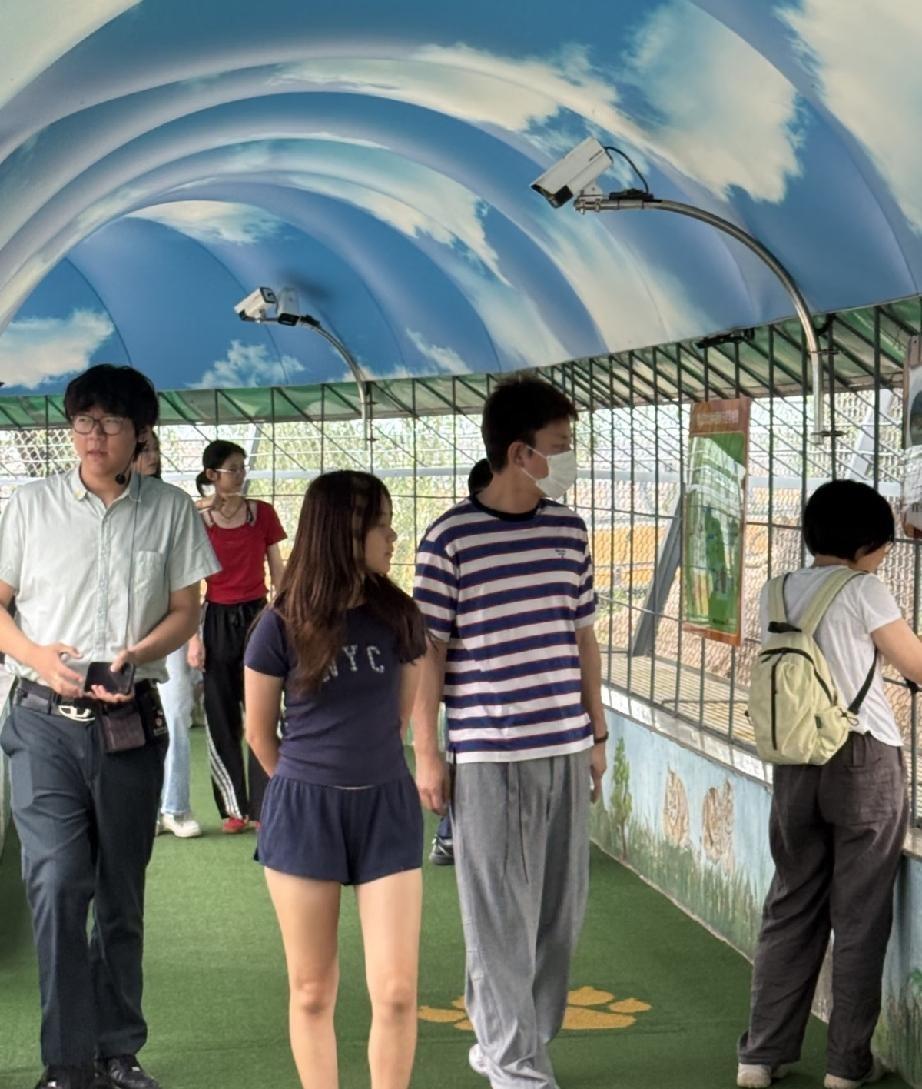 贾乃亮领着甜馨回哈尔滨，很多人只看到父女同框的温馨。可瞅瞅贾乃亮那张脸，眼里全