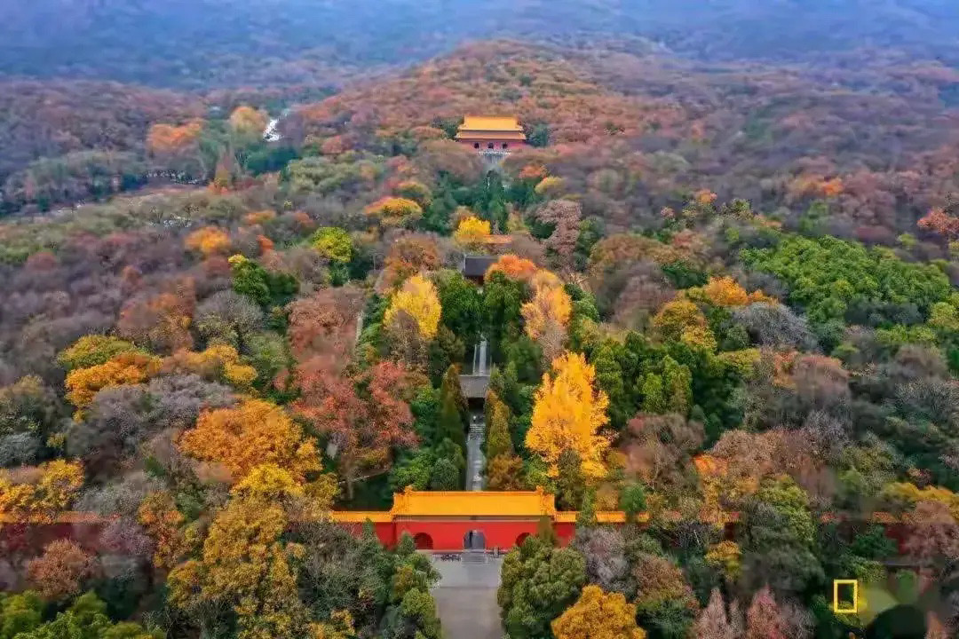 朱元璋的明孝陵为何没人敢盗？别说要去挖明孝陵了，就是想想都不行。挖明孝陵相当于盗汉人的祖坟，谁能有这