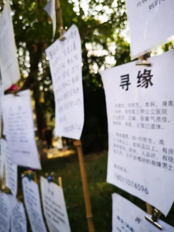 关于婚姻的选择告诉您:女性朋友:“不结婚和结婚的选择”，不结婚，不过是少了配偶