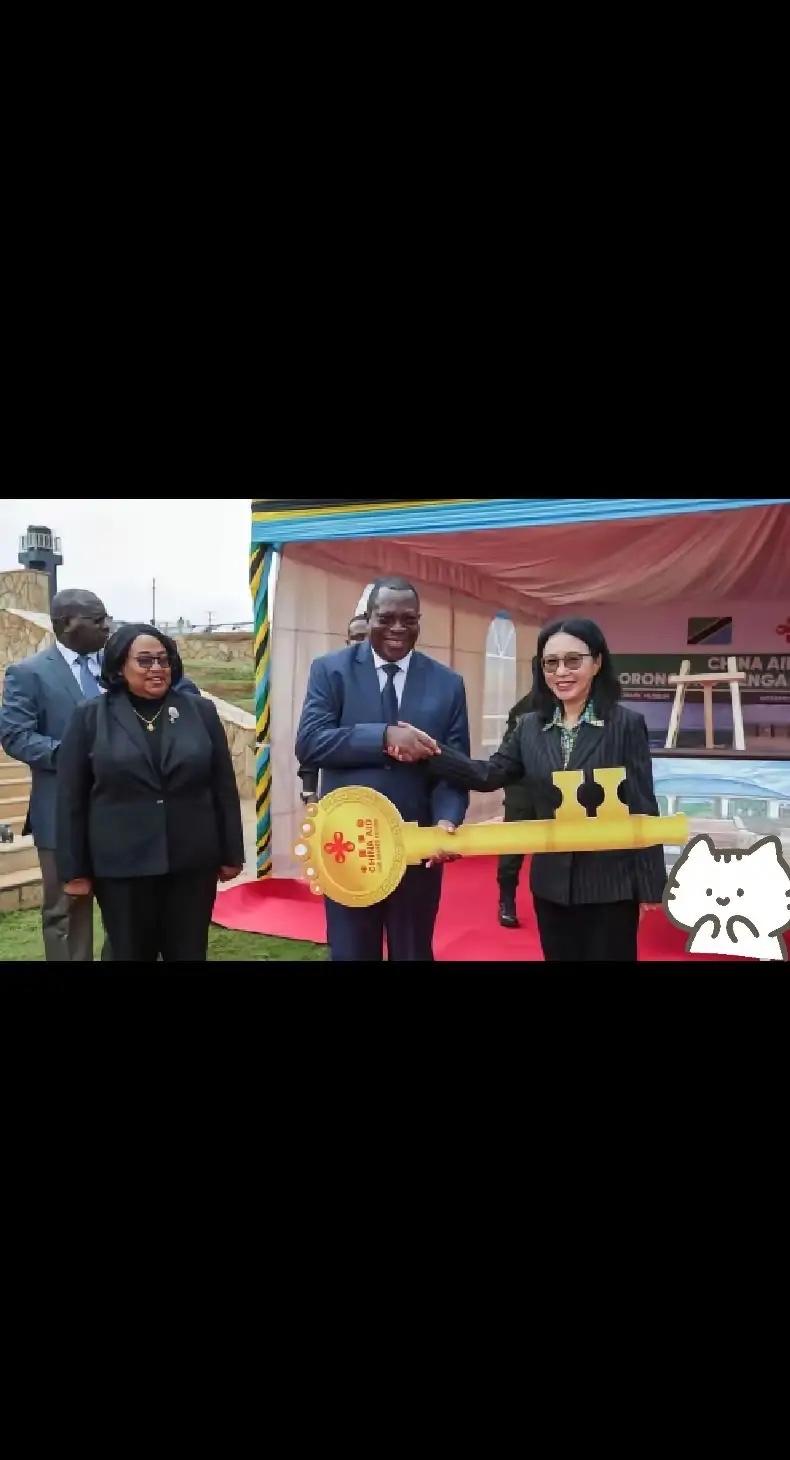 快讯!快讯!坦桑尼亚政府突然宣布了。2025年10月,坦方拿出220