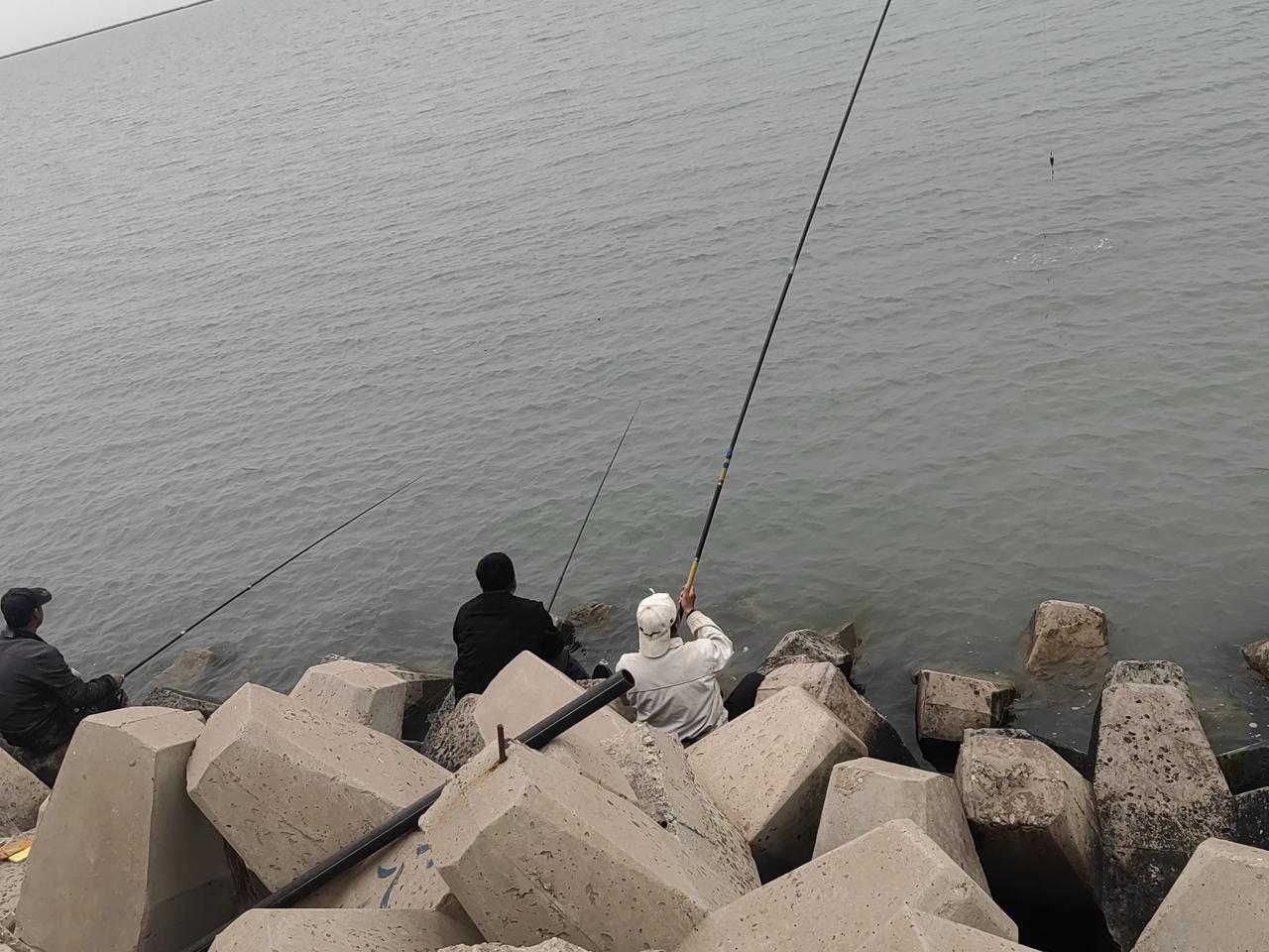 今天上午十点多，我们就到了海边，听别人说落潮以后，会丢下很多螃蟹和海螺。公路边