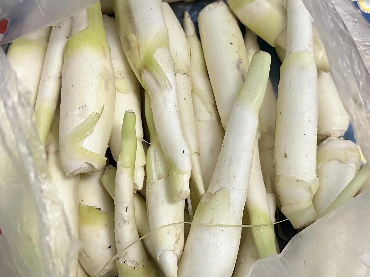 爷爷种的笋治好了我不爱吃笋的毛病真的太好吃了，太好吃了，原来笋是这么美味的东西