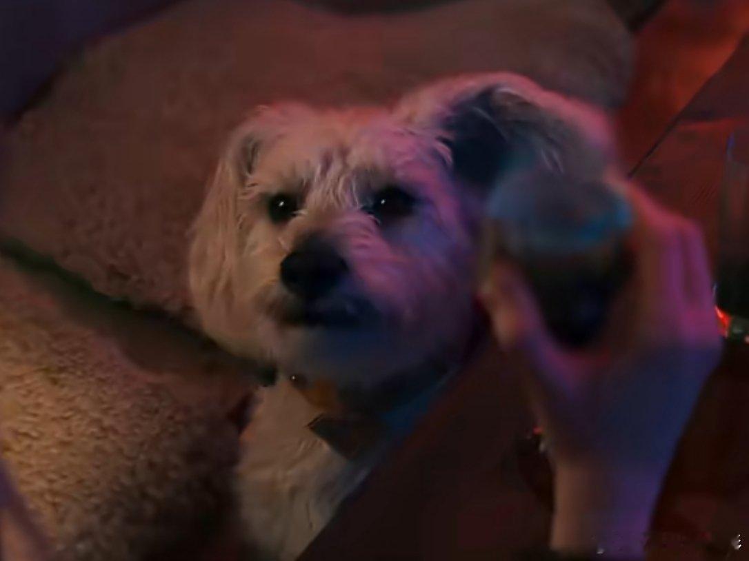 超级少女首支预告首支预告来看，我喜欢的小狗小氪依然戏份不少耶而女主超级少女在她表