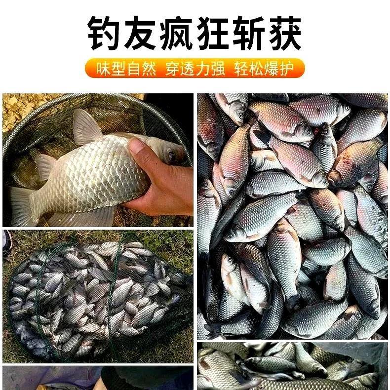 钓鲫鱼蚯蚓和红虫钓鱼谁更好用?冬钓鲫关键技巧清单天一冷，人就放弃了空旷大水