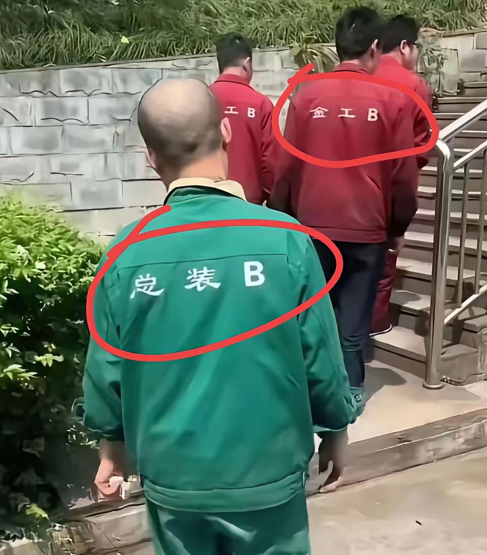 “甲乙丙丁戊己庚辛壬癸”为什么不用？干嘛非得用英文字母。如果天干地支不够用，那不