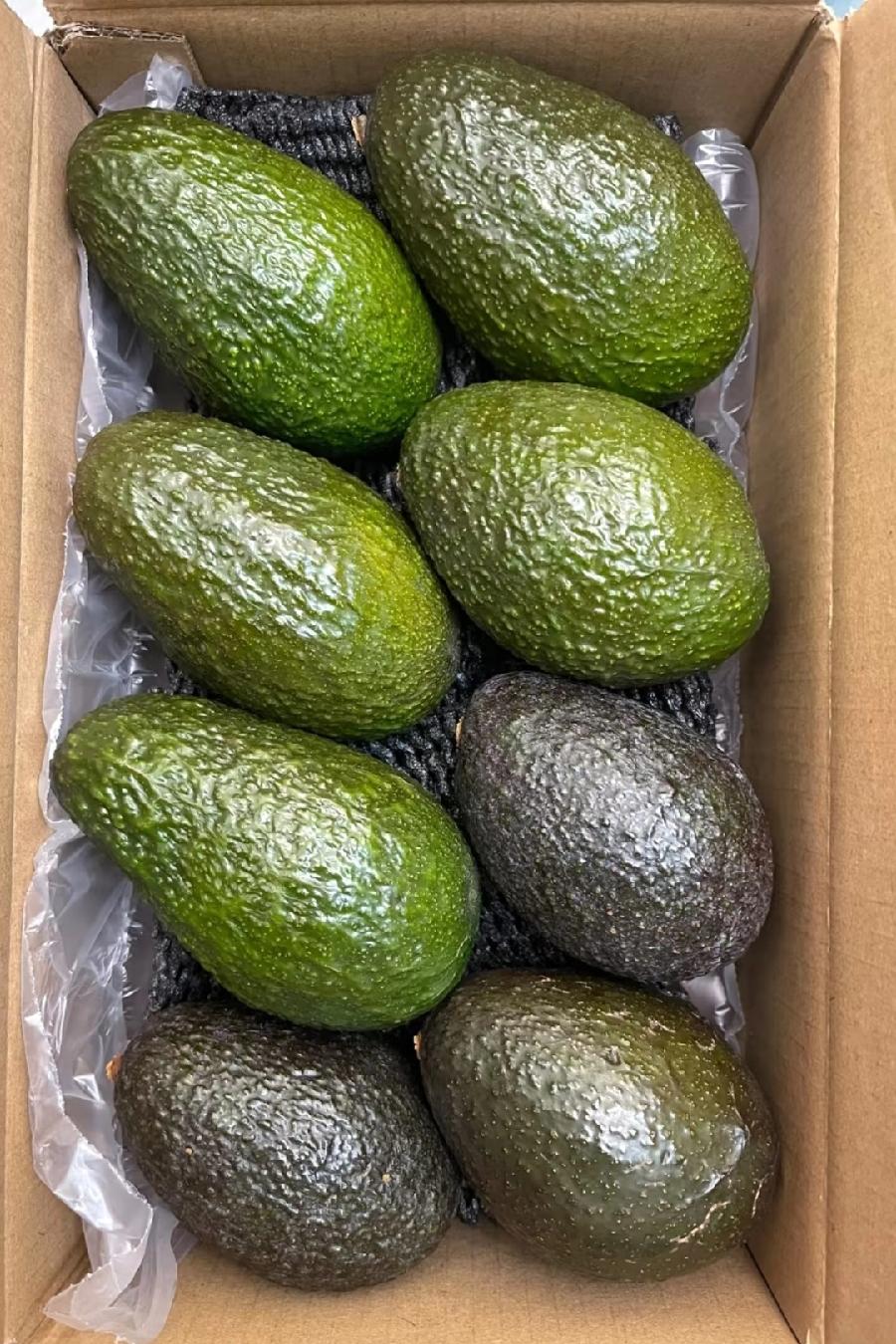 闺蜜说，姨妈期吃牛油果非常好，可补气血，缓解痛经。她从云南那边快递过来一箱子