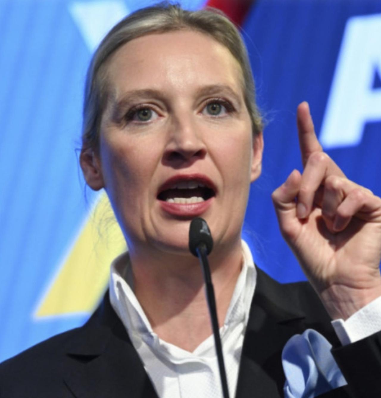 🚨🇩🇪AfD选择党领导人魏德尔刚刚猛烈抨击德国总理默茨对其乌克兰之行。“