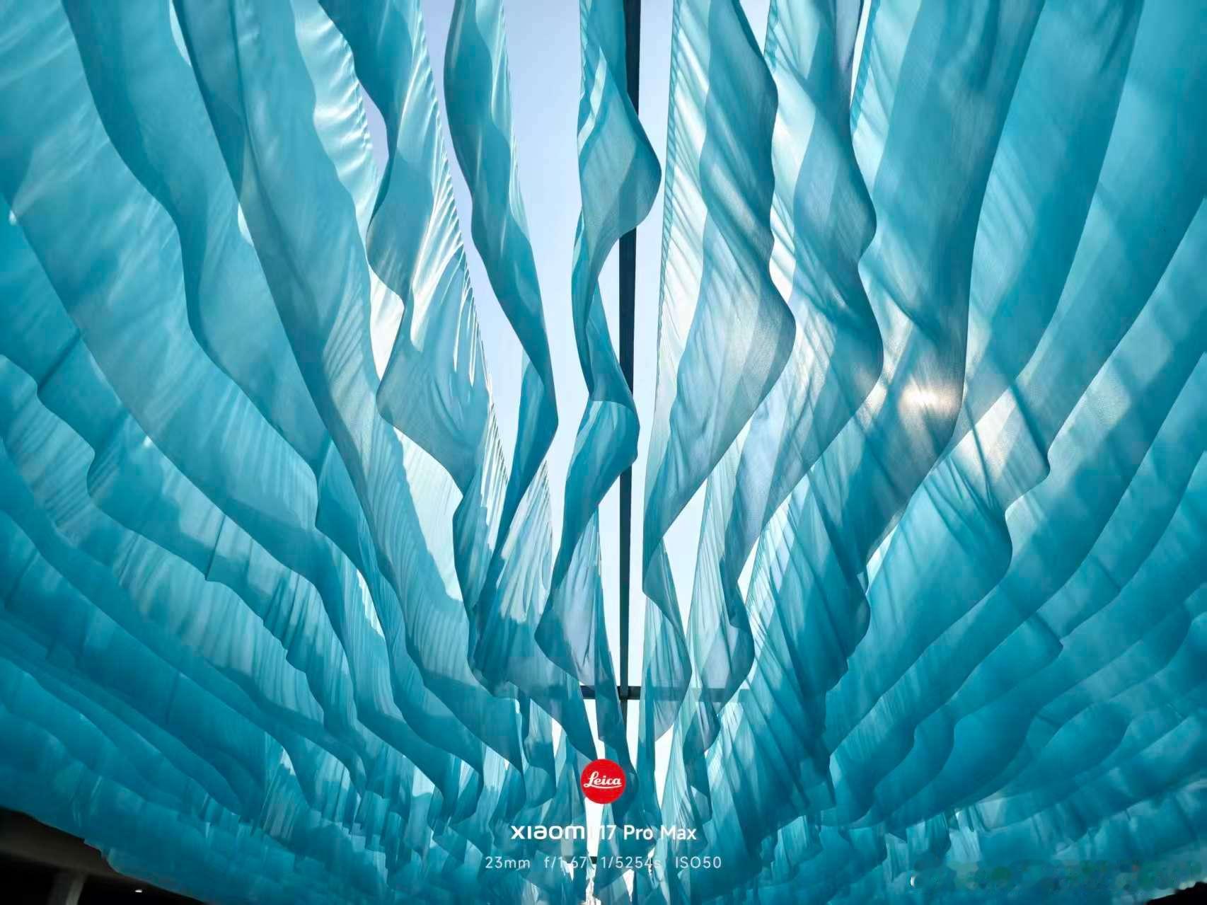 群友拍照真的是有点东西摄影师：年轻人的第一只十倍股小米科技