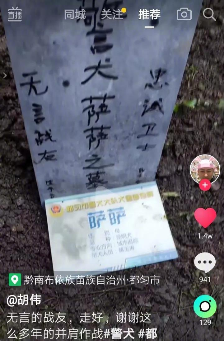 它们从小到大从来都不是为了自己而活着，它们必须埋藏自己的个性和喜怒哀乐！在它们的