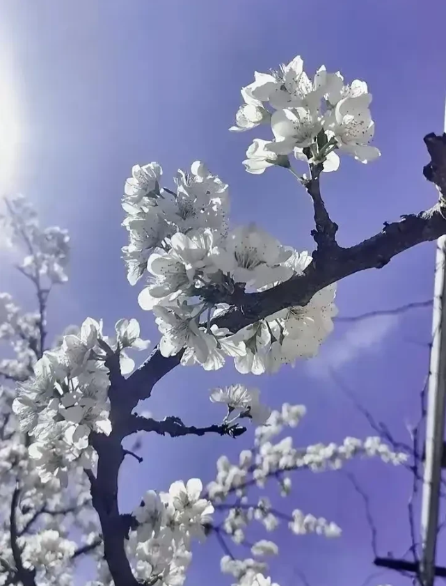 就在刚刚刷到一个视频，有个男人长期跑长途货运，为了让家中一双儿女、老婆以及父亲过
