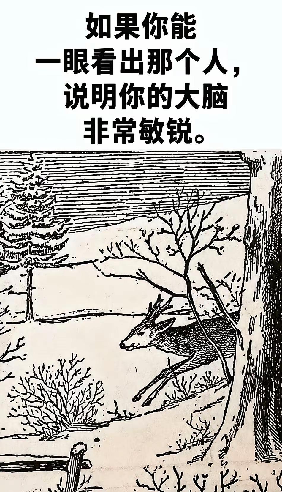 能找到的都是[赞]