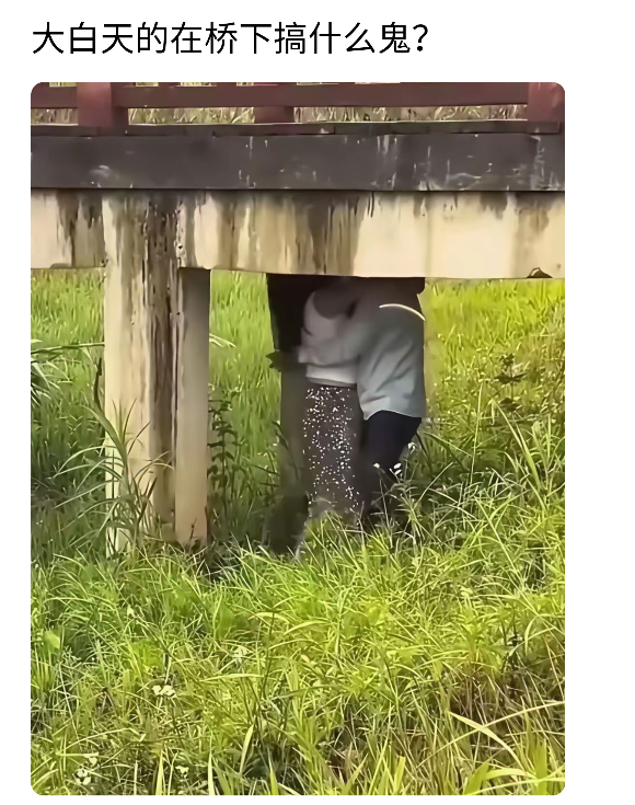 就这种情况，懂的都懂吧？