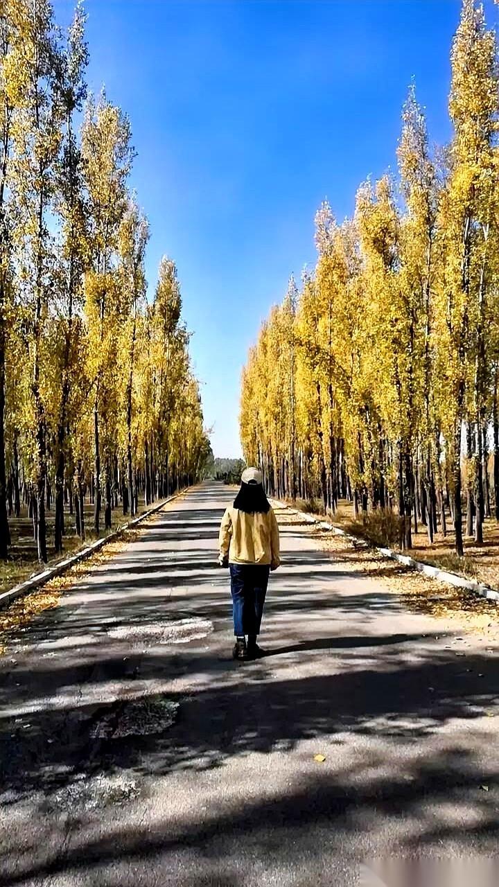 我那68岁的姐姐，退休金4000多，活成了一个“六亲不认”的范本。单位老同事的