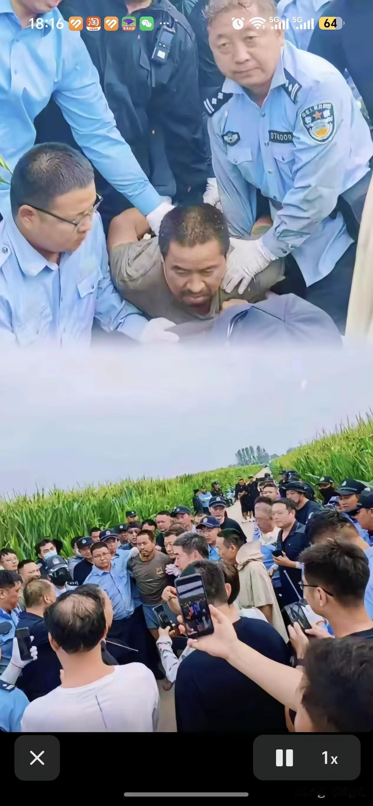 夏付钢逃亡九天不敢远走，藏身玉米地煎熬度日，最终落网。河南西平重大刑事案