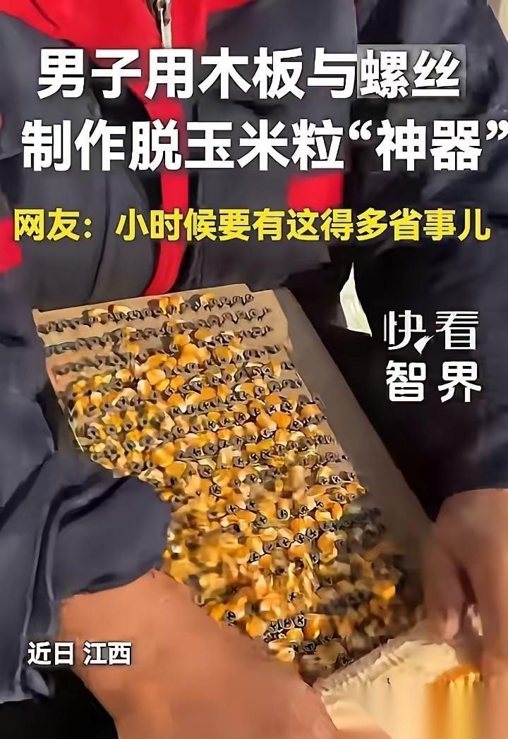 “人怎么能这么聪明！”江西，一男子嫌手剥玉米费手又慢，还不想花钱买脱粒机，他灵机