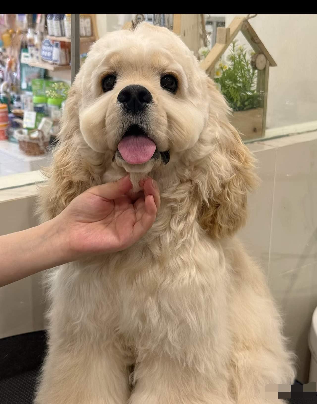 真的大开眼界！贪小便宜的尽头从来都是栽大跟头，秦皇岛这位红衣女士算是亲手把自