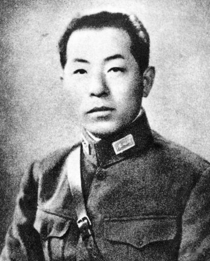 张学良当时能命令整个东北吗？一九二九年一月十日，沈阳大帅府里响过几声枪，外