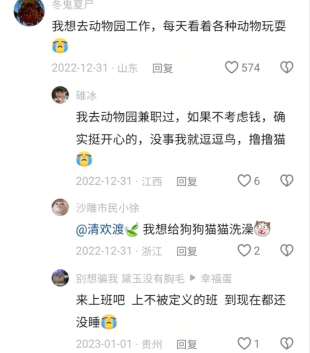 好喜欢这种没有勾心斗角的工作