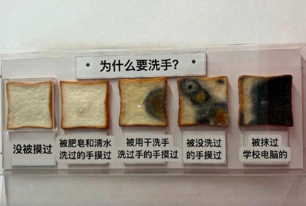 面包被四种手摸过的差别…