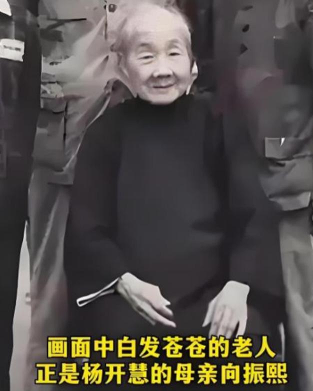 解放后，杨开慧的母亲向振熙老人跪地痛哭，她哭的不是逝去的女儿，而是替那个隐忍二十