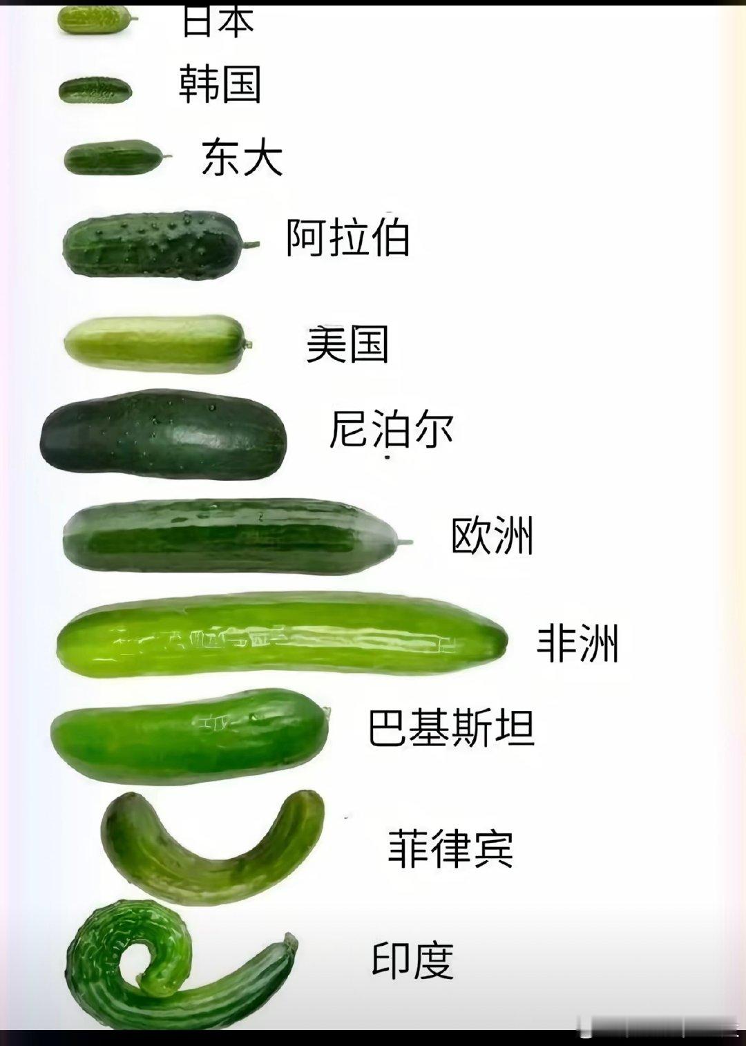 看图说话​