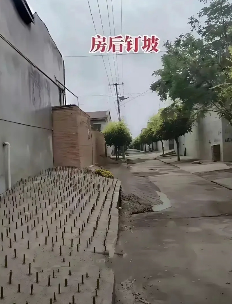 不懂就问,农村真的有这种人家吗?