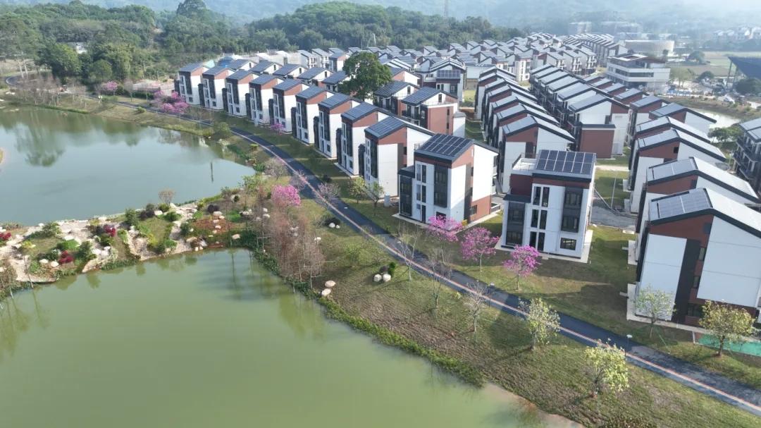 看看今天的社会主义新农村，农民住上别墅，但为什么还有人在这天天发泄讨要想白嫖养老