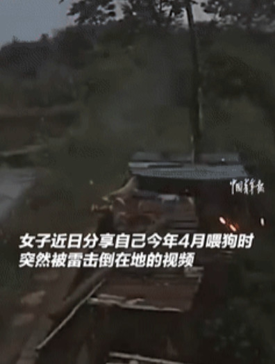 浙江金华一女子喂狗的时候，突然一道闪电从天而降，女子瞬间被雷击中倒了下去，大家都