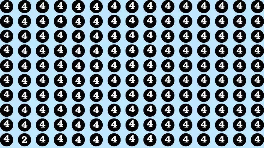 在这张被密密麻麻的数字“4”所充斥的图片里，无数个“4”整齐排列，形成了