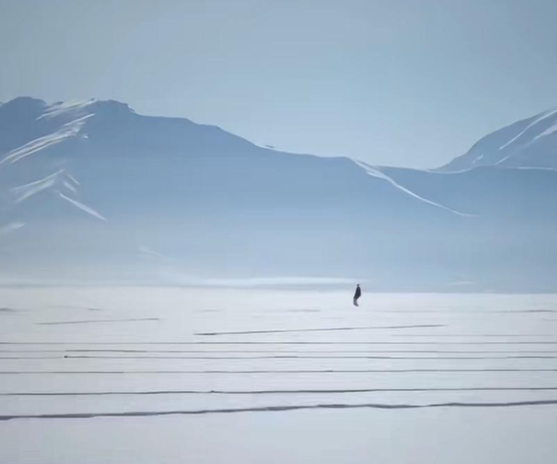 宇树机器人在阿勒泰-47.4°C极寒地区，在北斗卫星配合下，自主行走13W步、厘