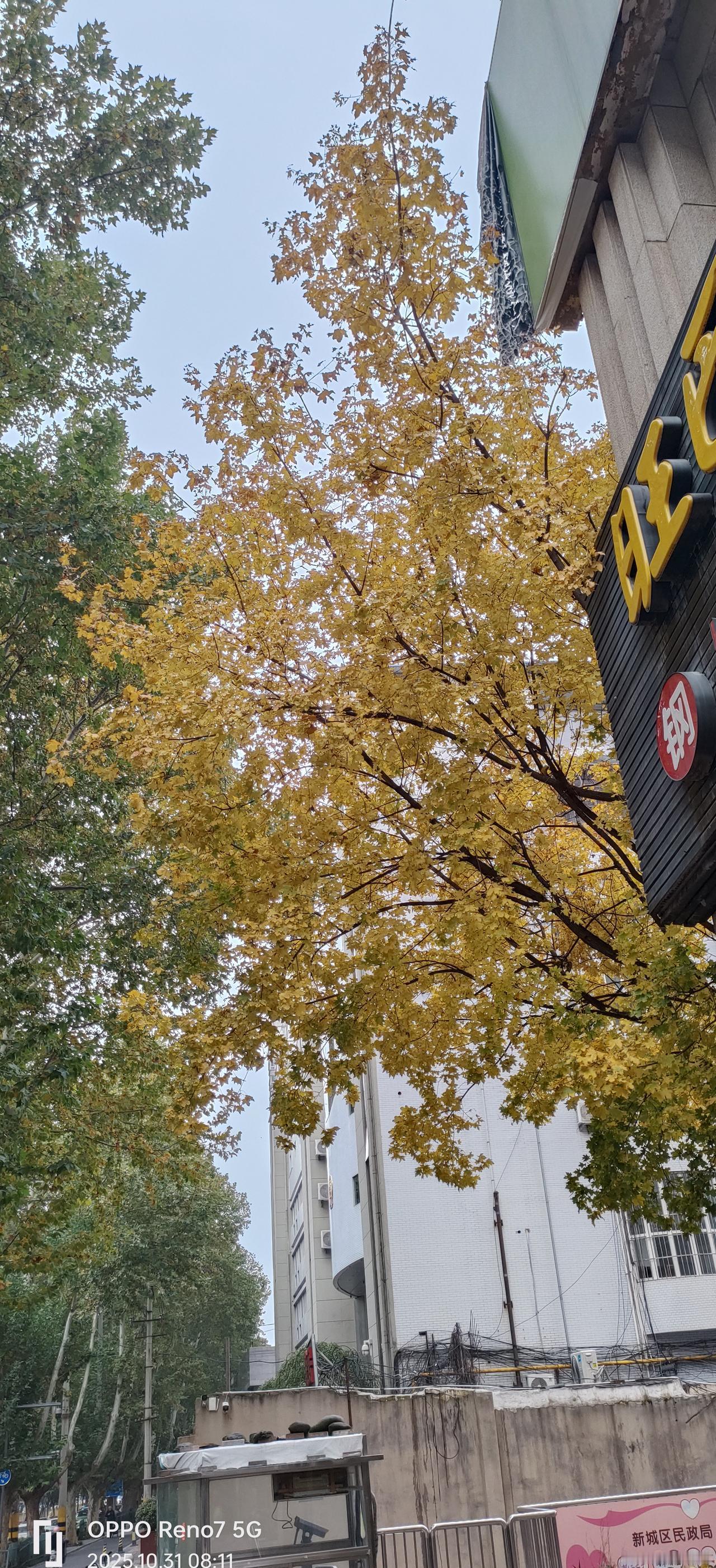 “五保户买彩票”冲上热搜，网友炸锅：拿救济钱碰运气？别急着骂。新规早就把