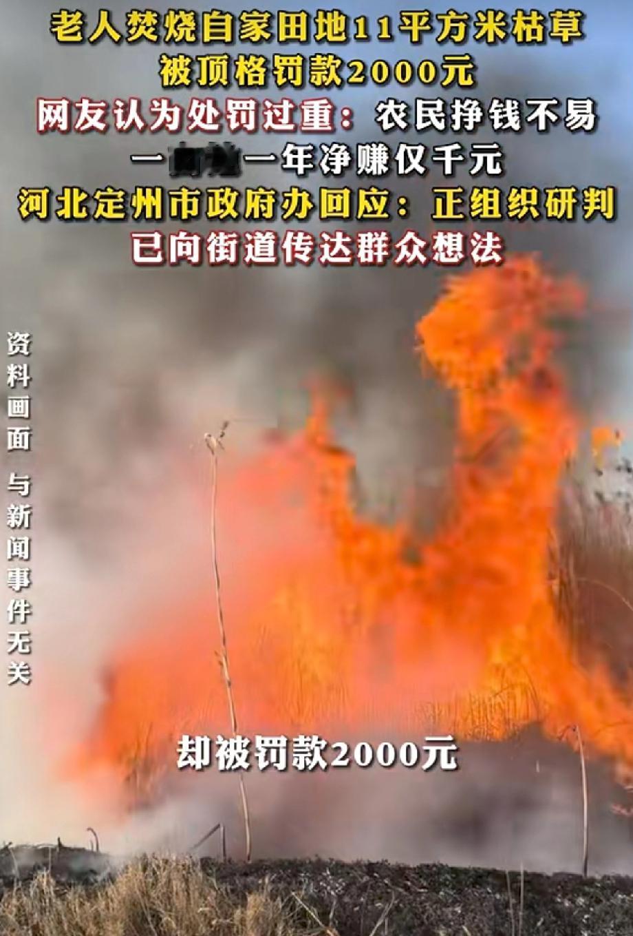 听说了吗？河北定州那位61岁的老农民，在自己地里拢了拢枯草树叶，拢共也就11平米