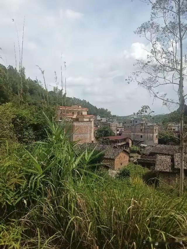 公社岁月：一九八四年八月，“人民公社”正式退出历史舞台进入一九八四年八月，撤销