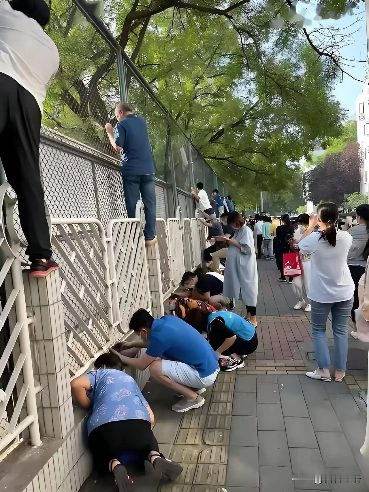 儿行千里母担忧，现在一公里也担忧，都说入学要“断奶”的不是孩子，而是家长。孩子们