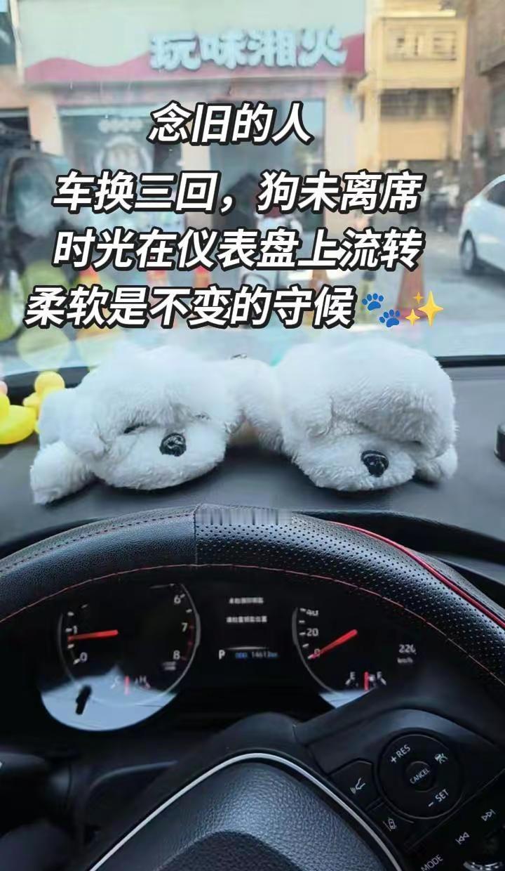 车换三回，狗未离席。时光在仪表盘上流转，柔软是不变的守候🐾✨