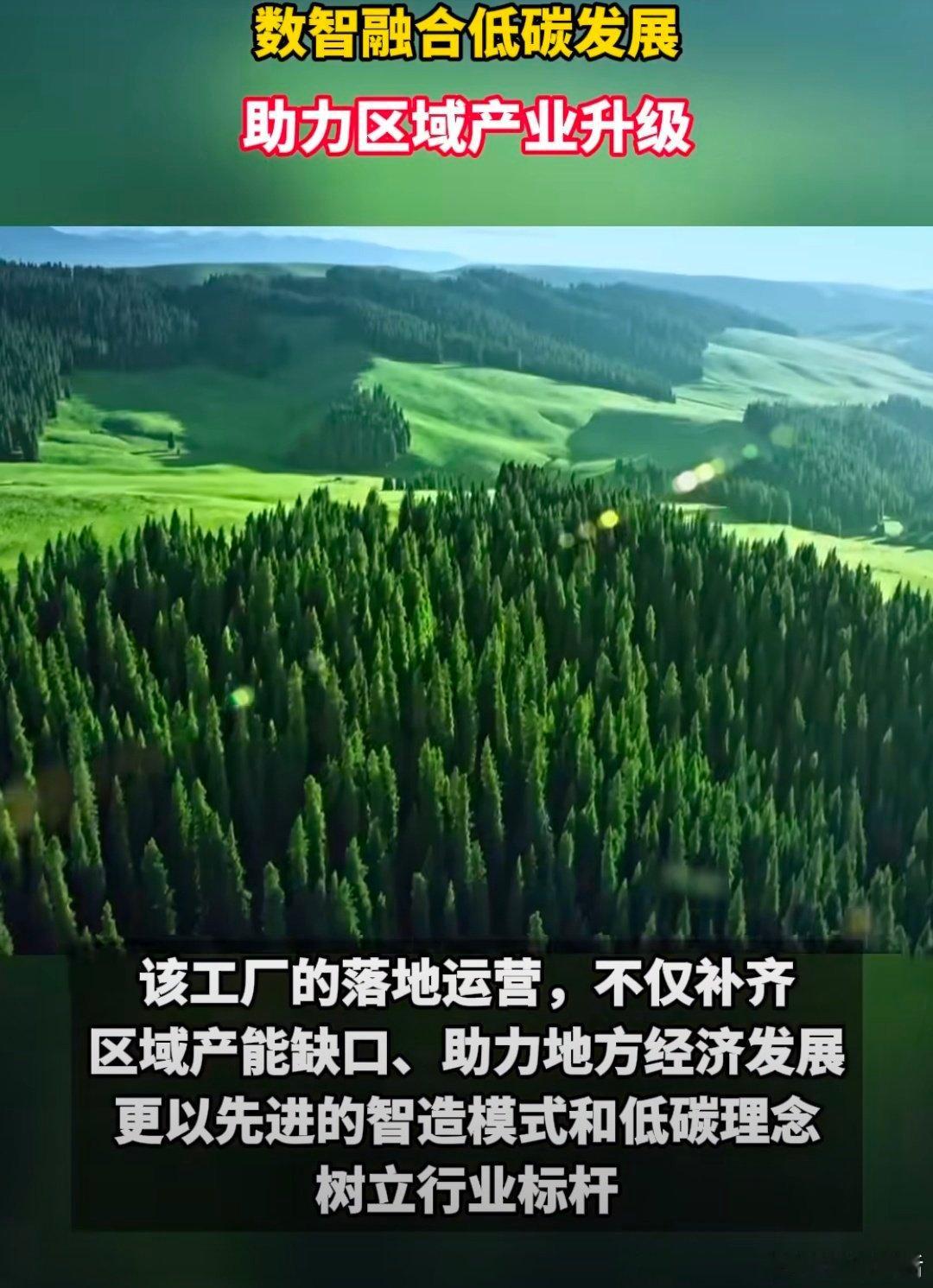 太古可口可乐湾区新工厂在广州开业湾区再添新动能！太古可口可乐广州新工厂正式投产