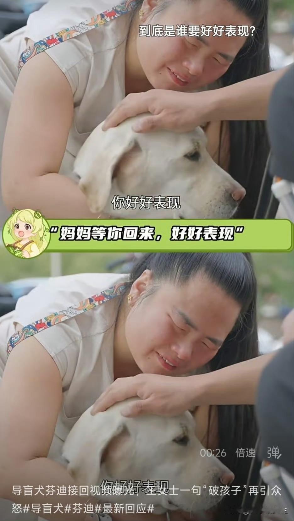 带导盲犬爬泰山的王营营，如今工作也没了不是因为爬山这件事本身，而是因为那