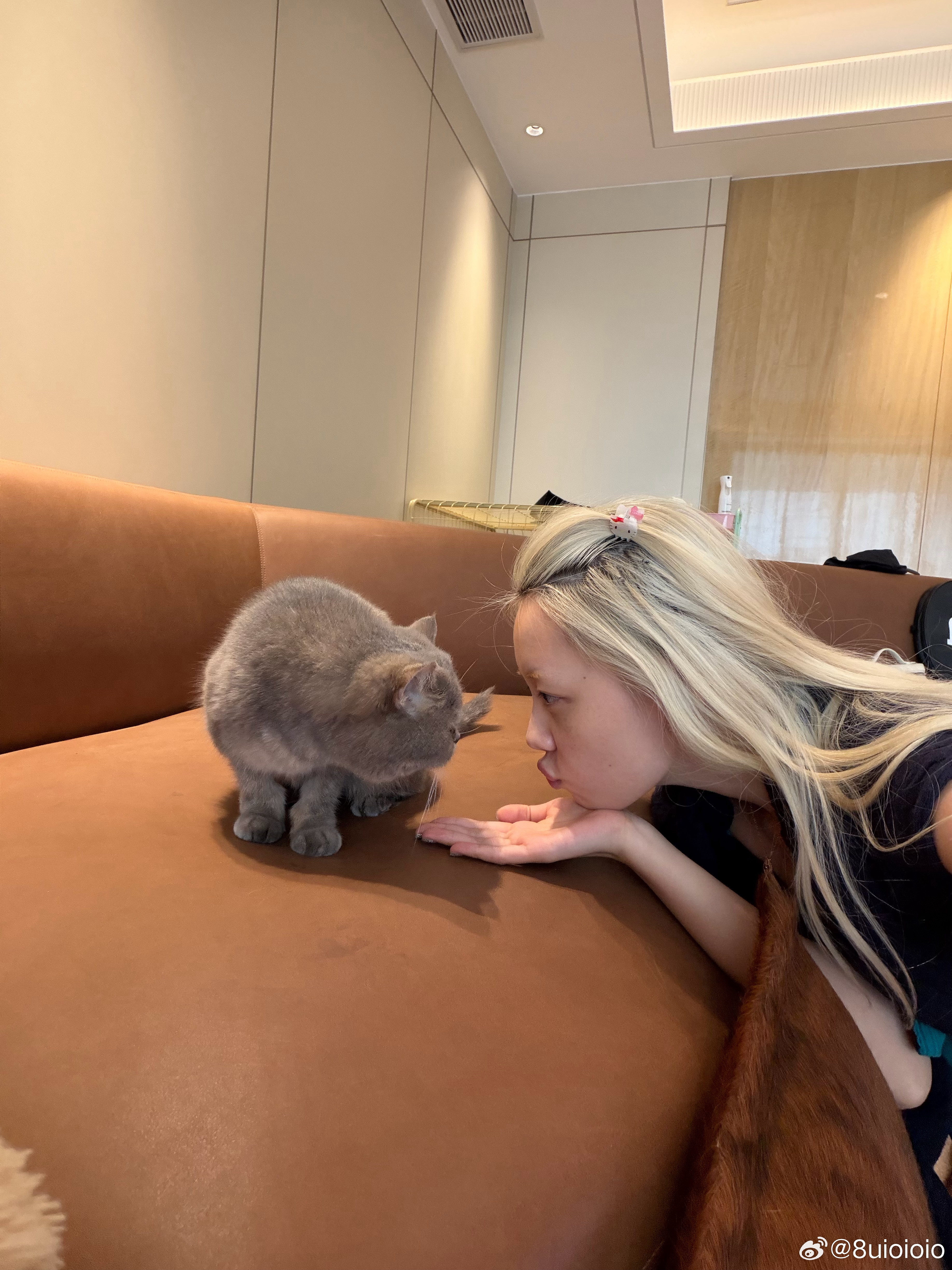 在白家聊了一下午天玩了一下午猫你们清明回家不！