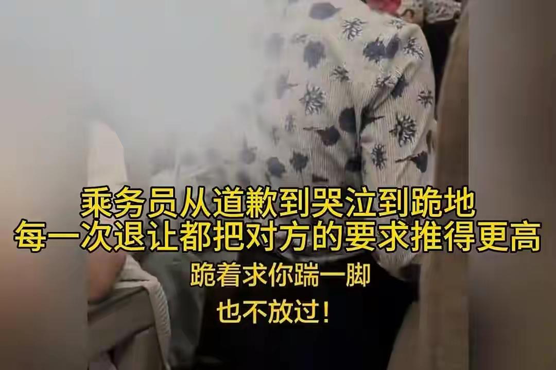 大伙都在心疼跪地道歉的乘务员，我非但不同情，反倒挺瞧不上她的，连自己的尊严都守不