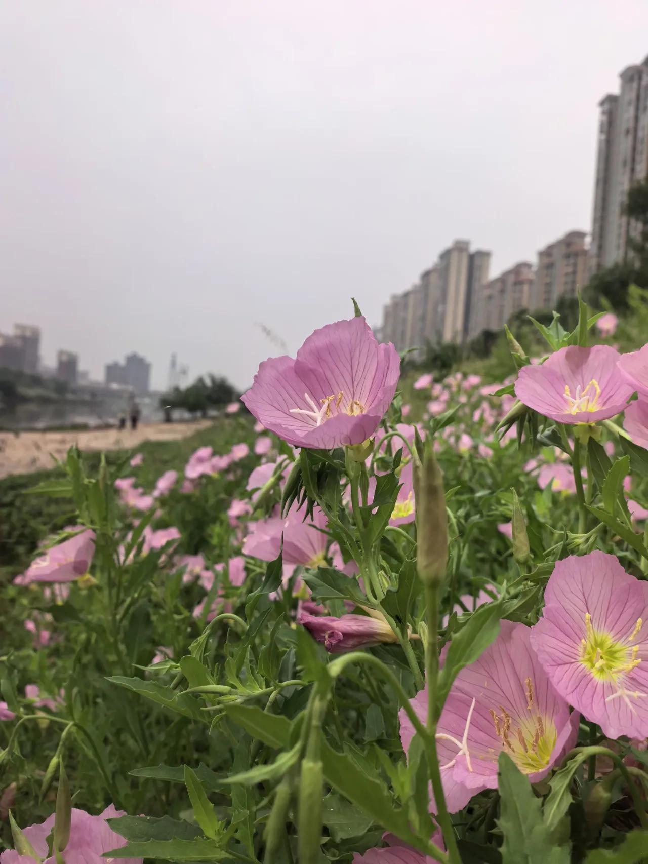 给散户的忠告，堪比芯片的下一个风口！1、今天市场高开高走，大盘上了4200点，创