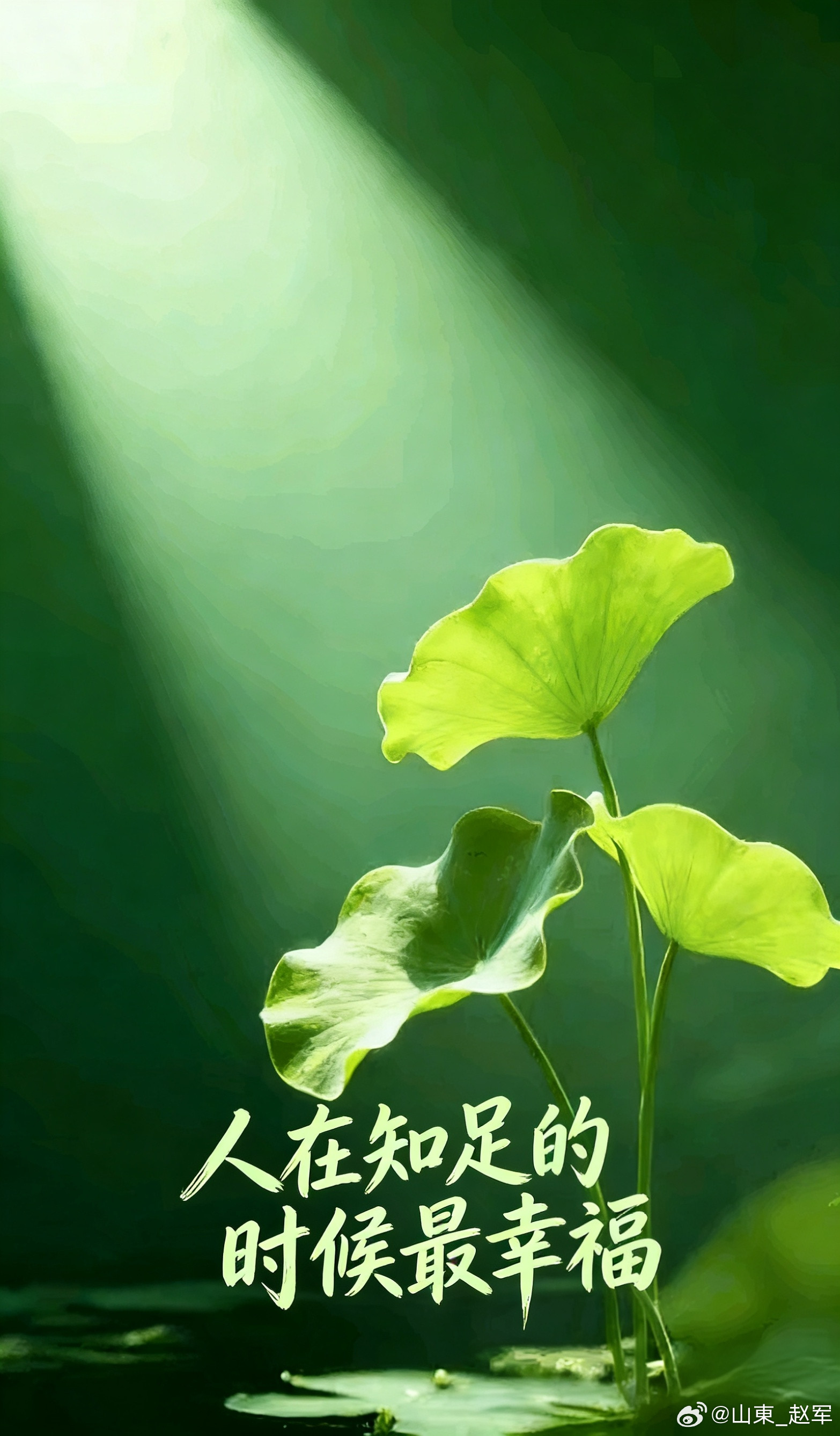 善补阳者必于阴中求阳则阳得阴助而生化无穷善补阴者必于阳中求阴则阴得阳升而泉源不竭